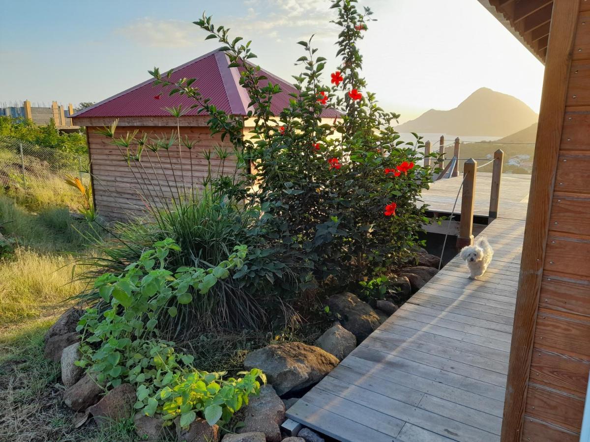 Ti Kaz Anoli Cottage En Bois Avec Vue Sur La Baie Terre-de-Bas Esterno foto