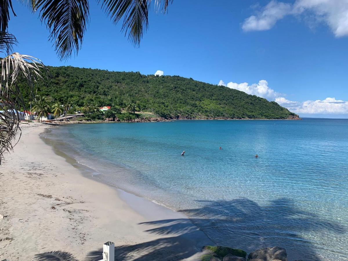 Ti Kaz Anoli Cottage En Bois Avec Vue Sur La Baie Terre-de-Bas Esterno foto