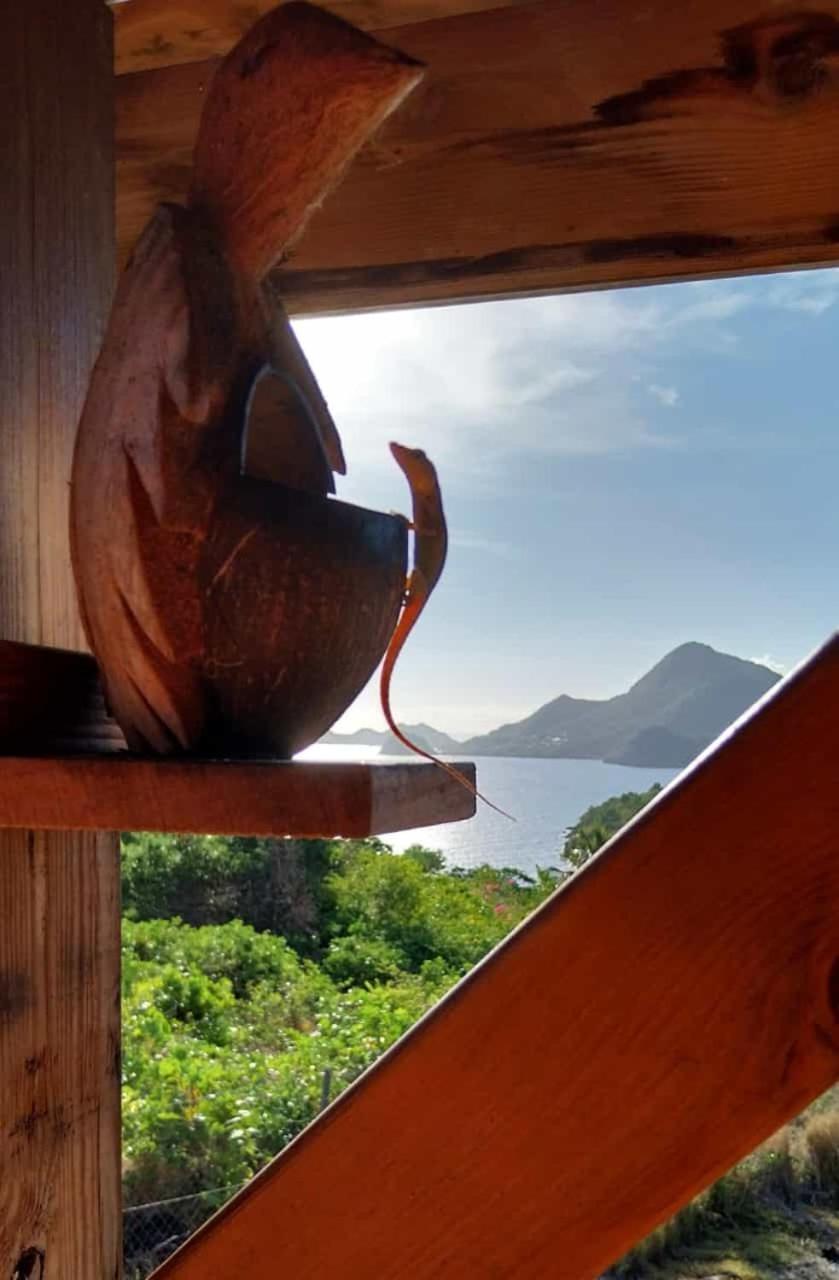 Ti Kaz Anoli Cottage En Bois Avec Vue Sur La Baie Terre-de-Bas Esterno foto